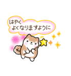【夏】日常挨拶✴︎気遣い✴︎まるまる豆柴（個別スタンプ：24）