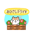 【夏】日常挨拶✴︎気遣い✴︎まるまる豆柴（個別スタンプ：25）