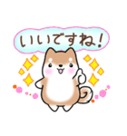 【夏】日常挨拶✴︎気遣い✴︎まるまる豆柴（個別スタンプ：27）