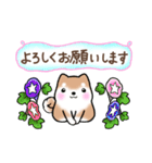 【夏】日常挨拶✴︎気遣い✴︎まるまる豆柴（個別スタンプ：28）