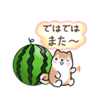 【夏】日常挨拶✴︎気遣い✴︎まるまる豆柴（個別スタンプ：29）