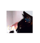 黒猫同盟（個別スタンプ：2）