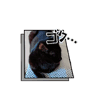 黒猫同盟（個別スタンプ：6）