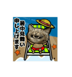 動くキジトラ猫6(夏2)（個別スタンプ：1）