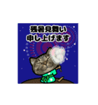 動くキジトラ猫6(夏2)（個別スタンプ：2）