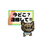 動くキジトラ猫6(夏2)（個別スタンプ：7）
