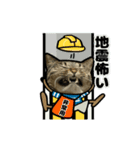 動くキジトラ猫6(夏2)（個別スタンプ：8）