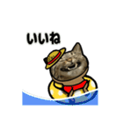 動くキジトラ猫6(夏2)（個別スタンプ：14）