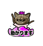 動くキジトラ猫6(夏2)（個別スタンプ：18）