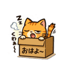 ツンデレ猫スネ吉の毎日スタンプ4真夏編（個別スタンプ：35）