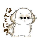 シーズー犬 2025 「たまには本音で」（個別スタンプ：4）