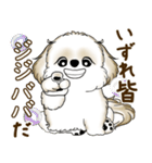 シーズー犬 2025 「たまには本音で」（個別スタンプ：7）