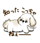 シーズー犬 2025 「たまには本音で」（個別スタンプ：8）