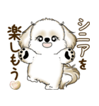 シーズー犬 2025 「たまには本音で」（個別スタンプ：12）