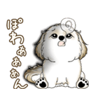 シーズー犬 2025 「たまには本音で」（個別スタンプ：19）