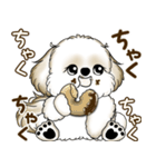 シーズー犬 2025 「たまには本音で」（個別スタンプ：20）