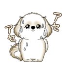 シーズー犬 2025 「たまには本音で」（個別スタンプ：22）