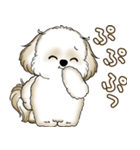 シーズー犬 2025 「たまには本音で」（個別スタンプ：27）
