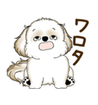 シーズー犬 2025 「たまには本音で」（個別スタンプ：28）