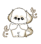 シーズー犬 2025 「たまには本音で」（個別スタンプ：30）
