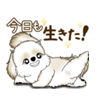 シーズー犬 2025 「たまには本音で」（個別スタンプ：32）