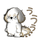 シーズー犬 2025 「たまには本音で」（個別スタンプ：33）