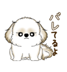 シーズー犬 2025 「たまには本音で」（個別スタンプ：35）