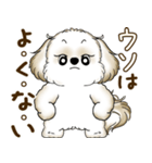 シーズー犬 2025 「たまには本音で」（個別スタンプ：38）