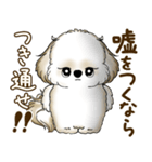 シーズー犬 2025 「たまには本音で」（個別スタンプ：39）