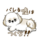 シーズー犬 2025 「たまには本音で」（個別スタンプ：40）