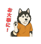 アラスカンマラミュート喜怒哀楽スタンプ1（個別スタンプ：10）