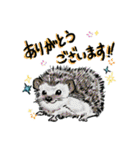 動物わちゃわちゃスタンプ（個別スタンプ：2）