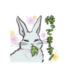 動物わちゃわちゃスタンプ（個別スタンプ：24）