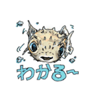 動物わちゃわちゃスタンプ（個別スタンプ：25）