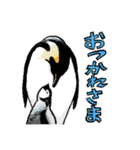 動物わちゃわちゃスタンプ（個別スタンプ：26）