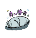 動物わちゃわちゃスタンプ（個別スタンプ：33）