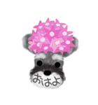 夏のシュナウザー犬（個別スタンプ：1）