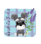 夏のシュナウザー犬（個別スタンプ：2）