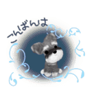 夏のシュナウザー犬（個別スタンプ：3）