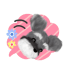 夏のシュナウザー犬（個別スタンプ：8）