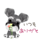 夏のシュナウザー犬（個別スタンプ：13）