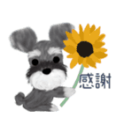 夏のシュナウザー犬（個別スタンプ：14）