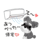 夏のシュナウザー犬（個別スタンプ：22）