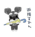 夏のシュナウザー犬（個別スタンプ：25）