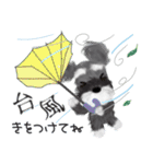 夏のシュナウザー犬（個別スタンプ：27）