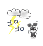 夏のシュナウザー犬（個別スタンプ：29）