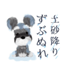 夏のシュナウザー犬（個別スタンプ：30）