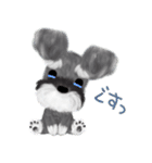 夏のシュナウザー犬（個別スタンプ：36）