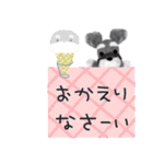 夏のシュナウザー犬（個別スタンプ：39）