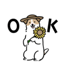 ほっこりジャックラッセル 4（夏）（個別スタンプ：1）